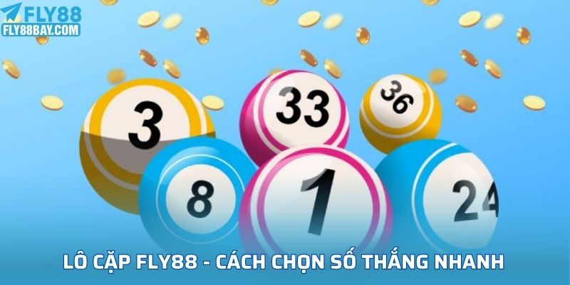 Lô cặp FLY88